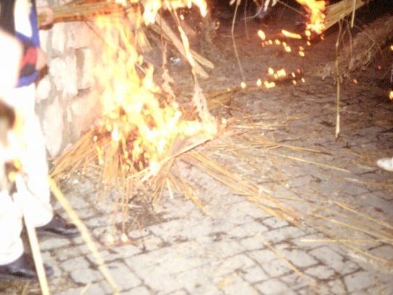 A Sciara